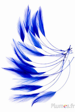 Hahn - 10-15 cm - blau